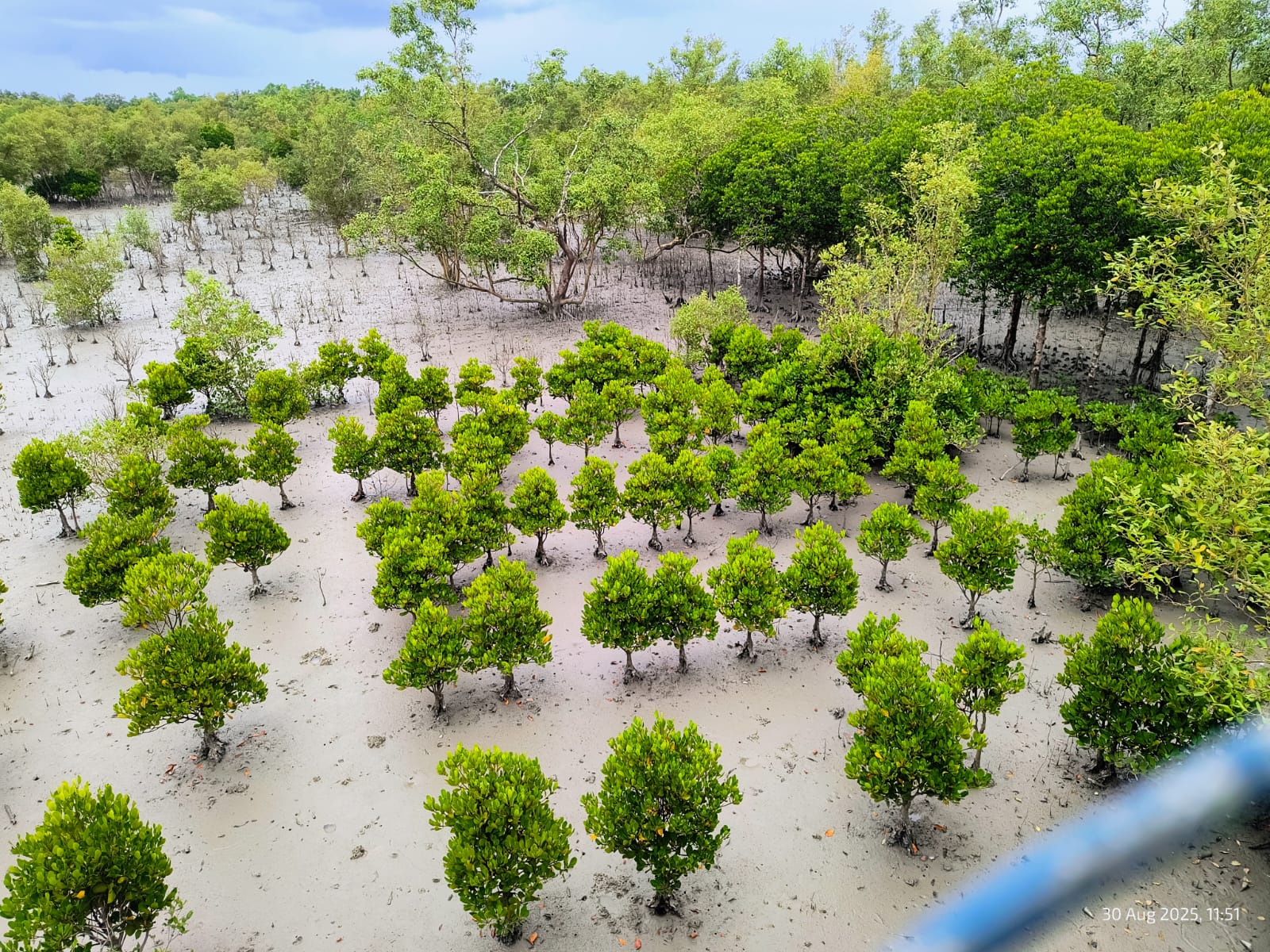 whatsapp image 2025 09 16 at 12.20.59 87e86d21