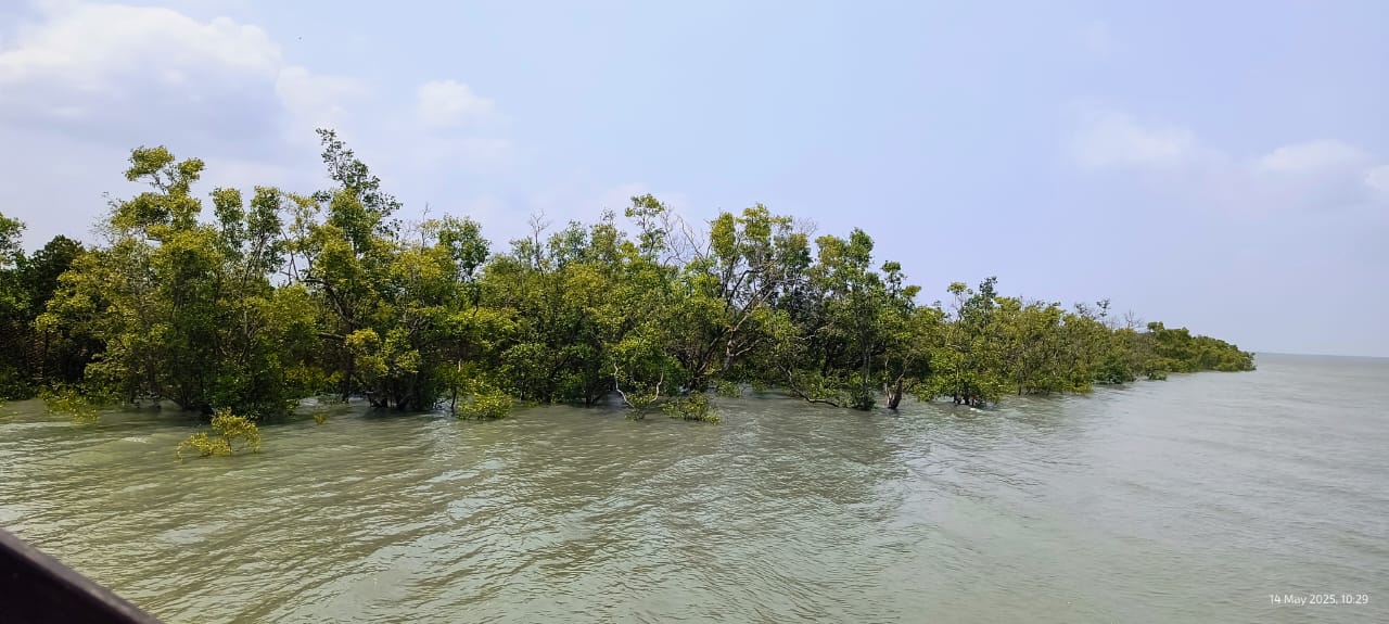 whatsapp image 2025 09 16 at 12.21.47 986aa3a4